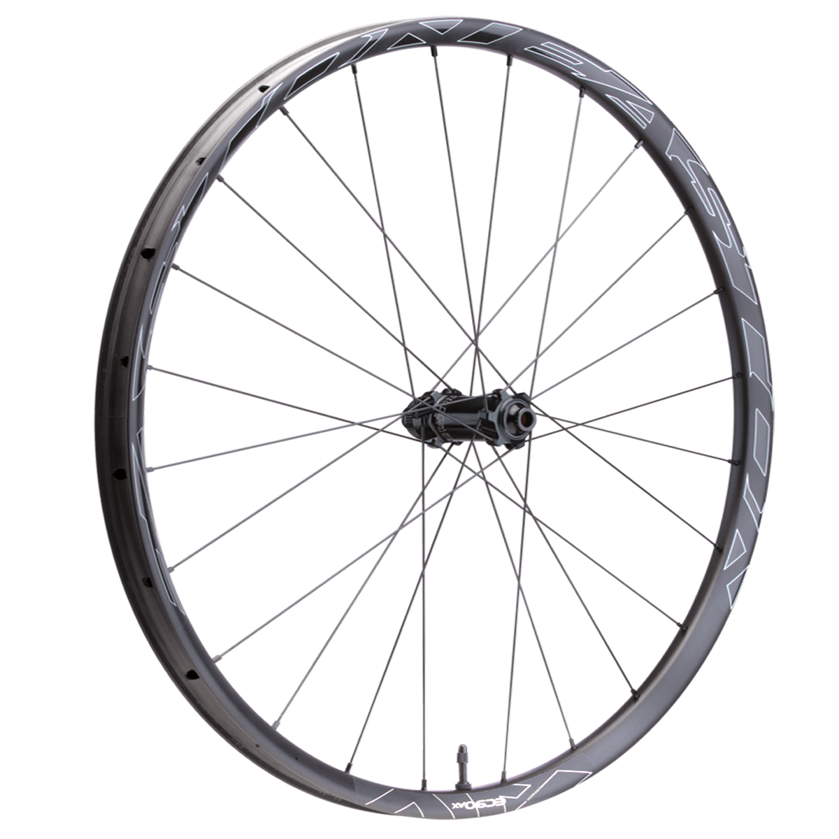 EASTON Wiel EA90 AX Disc Voor 700c - 12x100 3 EASTON Wiel EA90 AX Disc Voor 700c - 12x100